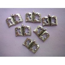 Charm Nickel
